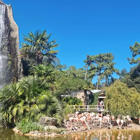 度假居 Maison Acces Direct 吉伦特河畔梅谢尔