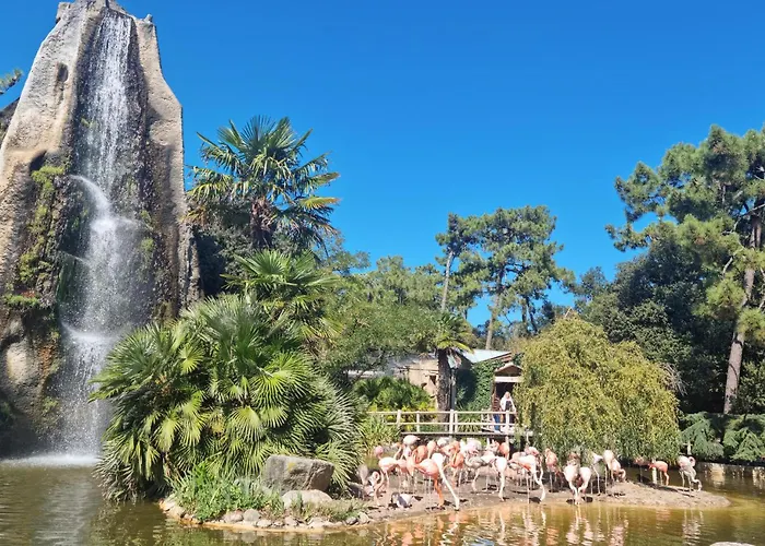 Casa de Férias Maison Acces Direct Meschers-sur-Gironde
